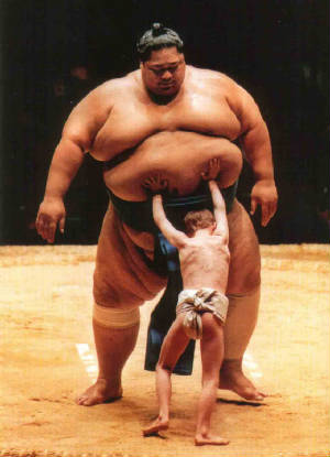 sumo-klein.jpg