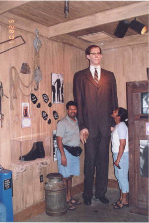 tall.jpg